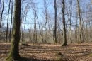 Bois de Valdoie